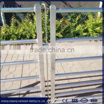 Farm Fencing/ Fencing Panels /sheep Panels photo-5