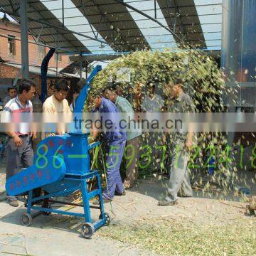 Large Capacity Corn Crop Straw Poultry Chaff Cutter photo-6