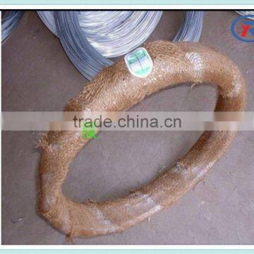 Cheap Price Electro and Hot Dip Galvanized Iron Wire photo-2