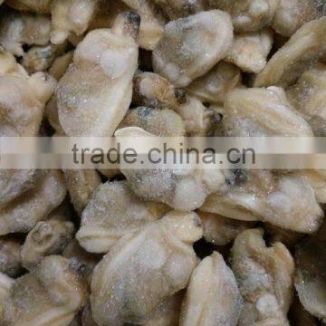 Short Necked Clam Meat For Frozen and Boiled IQF photo-3
