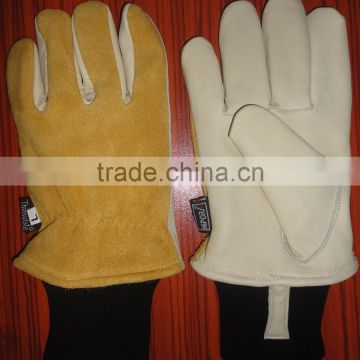 extreme weather gloves