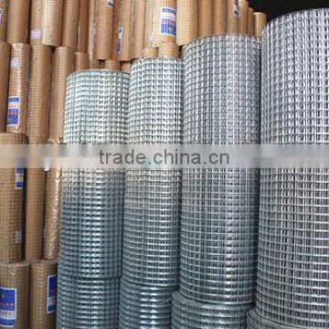Galvanized Welded Wire Mesh From China Factory photo-2