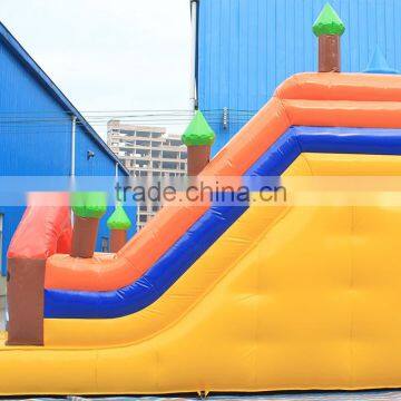 Inflatable Slide Giant Inflatable Stair Slide Toys as Water Slide photo-3