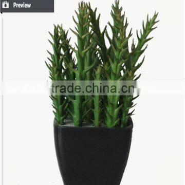 Artificial Wholesale Potted Succulent Plants Smalll Plants Mini Succulent photo-4
