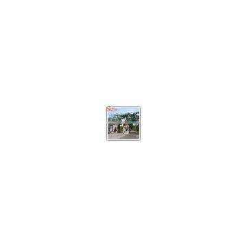 High Quality Decorative Artificial House Tree photo-4