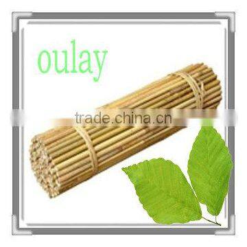 Dyed Beautiful Colors Nature Bamboo Flower Sticks,bamboo Garden Sticks for Agriculture /decoration/garden photo-3