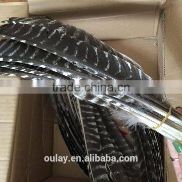 Full Size Colorful Treated Turkey Feathers Striped Feathers photo-6