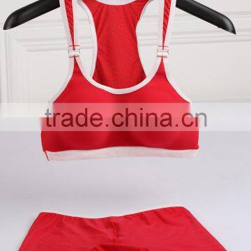 GZY 2015 Plain High Quakeproof Seamless Hot Sexy Xxxx Sports Bra photo-2