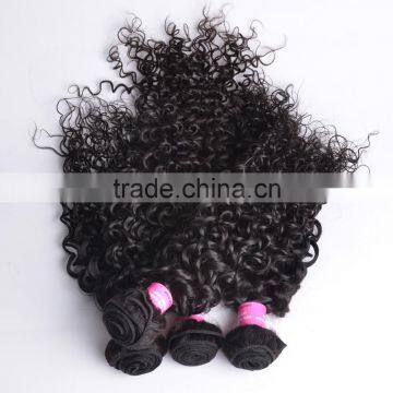 Wholesale Hair Extensions China, Virgin Brazilian Malaysian Peruvian Hair Wholesale, Malaysian Afro Kinky Curl Sew in Hair Weave photo-5