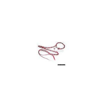 Sell Dog Leash photo-1