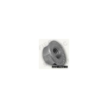 Sell Hexagon Flange Nuts