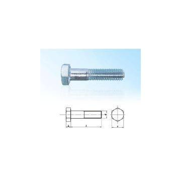 Hexagonal Head Bolt DIN960