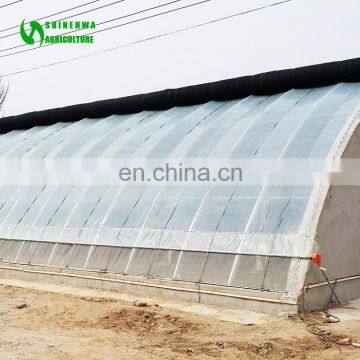 Sunlight Greenhouse Hydroponic Aquaponic Greenhouse Indoor Grow Rooms