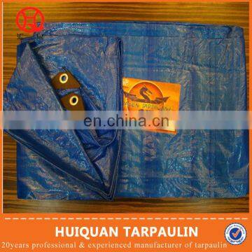 Manufacturing 4x8 Plastic Hdpe Sheets Tarpaulins 100% Virgin/Korea PE Tarpaulin Plastic Sheet with All Specifications