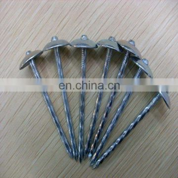 Q195 Galvanized Umbrella Head Roofing Nails With Smooth Shank