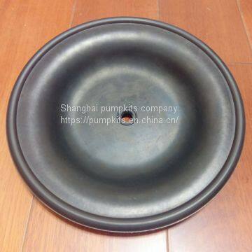 1B003 Diaphragms Parts Fit Blagdon Pumps photo-5