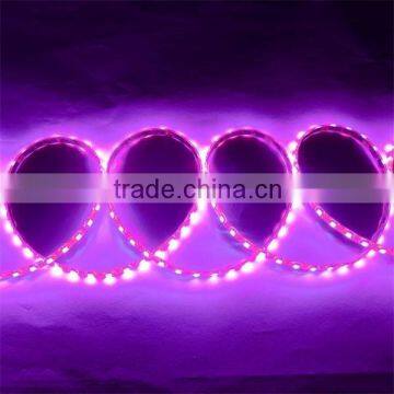 Waterproof SMD LED Strip Light led light stripe