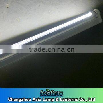 T5 LED Grow Bulb 36W 5000LM photo-2