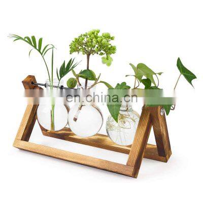 Plant Terrarium with Wooden Stand, Desktop Glass Planter Bulb Vase Bulb Plant Terrarium with Retro Solid Wooden Stand