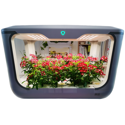 Indoor Hydroponic Automatico Grow Box Smart Mini Grow House Growboxcomplete photo-2