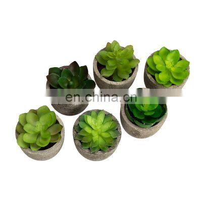 Artificial Bonsai Home Decoration Small Cheap Desktop Plastic Plant Artificial Succulent With Pulp Paper Pot