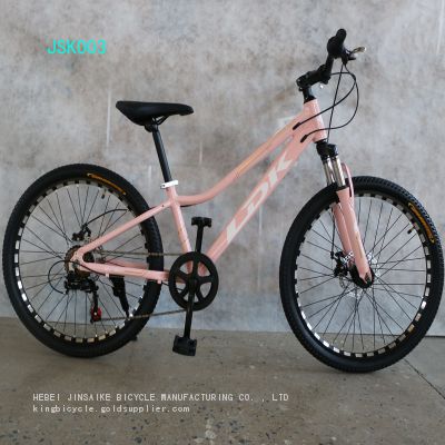 alloy mountain bicycle/bike/cycle/BIKE 24