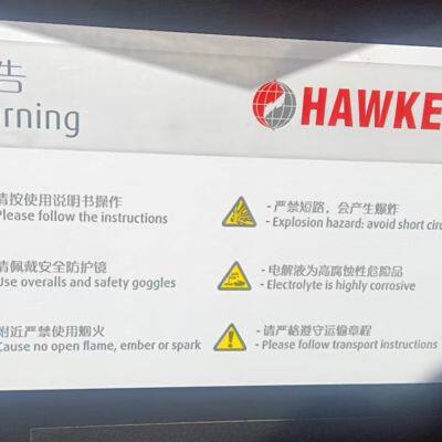 British Hawk Battery 3PZS250 Hawk Forklift 24V/48V/80V/96V photo-3