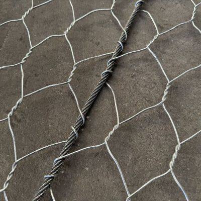 Polymer Coating Hexagonal Double Twisted Wire Mesh Rockfall Protection Mesh Price for Slope Protection photo-3