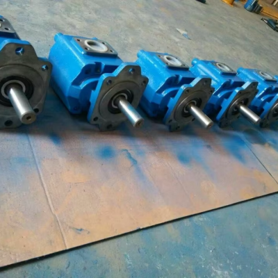 E Series Hydraulic Gear Pump E66 Single Gear Oil Pump for Oil Field High Pressure Gear Rotor Pump photo-6