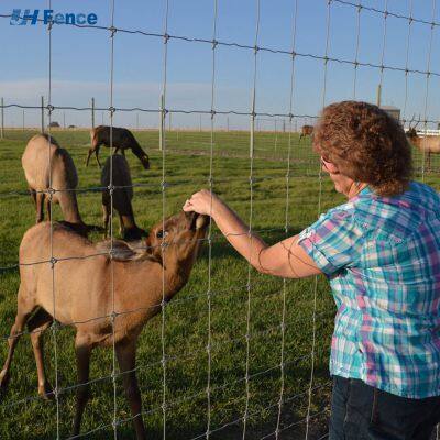 Hot Dipped Galvanized Green PVC Coated Iron Wire for Corrosion Resistance and Aesthetic Appeal in Farm Security Farm Fence Wire photo-2