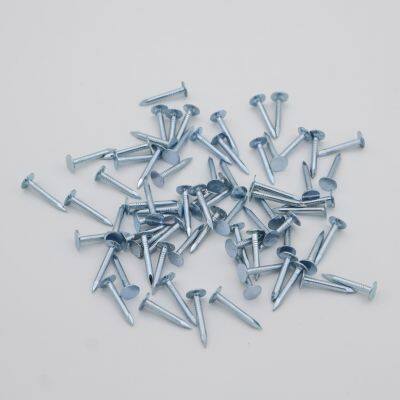 China-Made Galvanized Roofing Clout Nails - 1kg Box for Small Projects photo-4