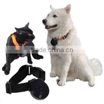 Top quality automatic record digital mini Pet Collar Camera