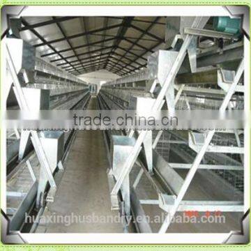 Industrial Chicken House of Battery Cage