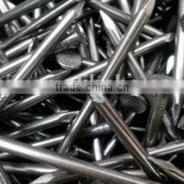 Common Nails photo-2