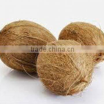 fresh semi husked coconuts(larger size)