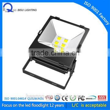 Brigelux 45mil led flood light 110 Watt high quality led lamp IP65 outdoor LED Flood Lamp