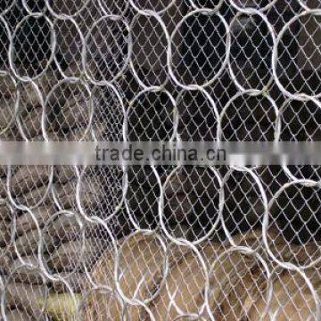 Best Price gabion slope protection net/hebei tuosheng