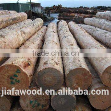 Timber Wood Logs