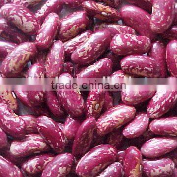 Speckled Kidney Beans