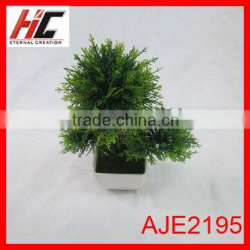 Plant Pots Wholesale photo-1