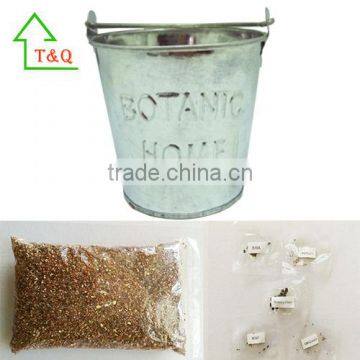 Galvanised Metal Watering Can Herb Flower Metal Grow Box