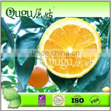 2015 big size Sweet Navel Orange