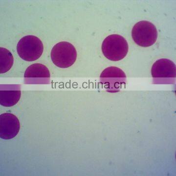 Chick Embryo Slides Prepared Microscope Slides photo-5