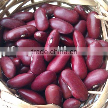 Red Kidney Bean( British type, heilongjiang origin.hps)