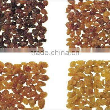 Sultanas Dry Grapes