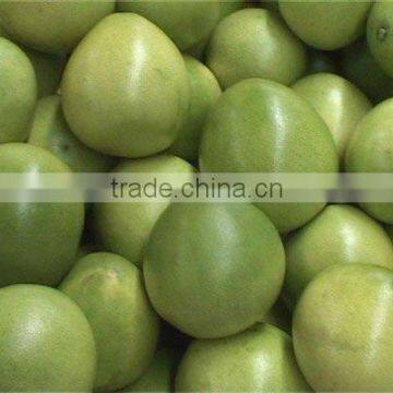 chinese pomelo