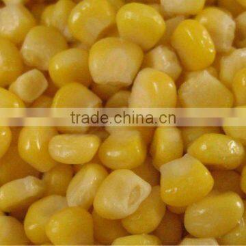 New crop new weight 340g high quality sweet corn kernel in tin