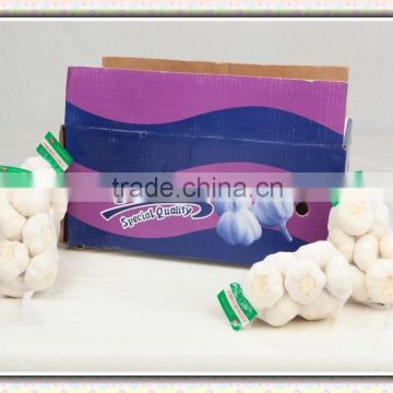 Wholesale High Quality Natural white fresh garlic