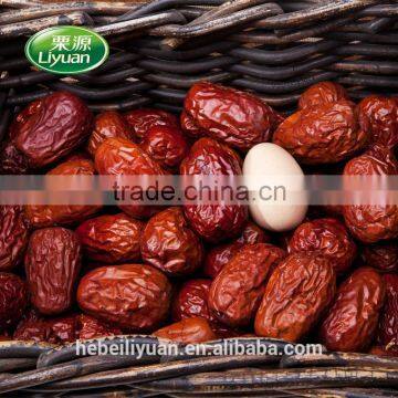Xinjiang Chinese Dates Jujube photo-2