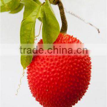 Gac Fruit Oil Capsules-Improve Eyesight, Anti Cancer, Anti Aging photo-4